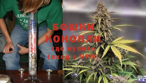 PSILOCYBIN Беломорск