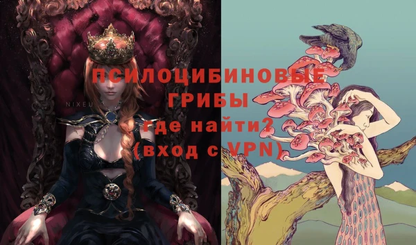 амф Белоозёрский