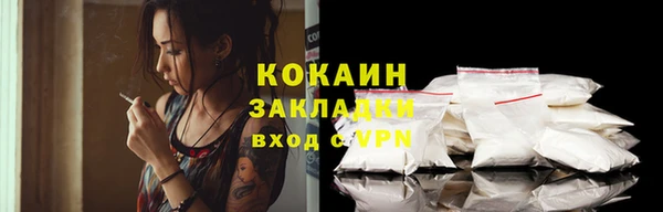 хмурый Белокуриха