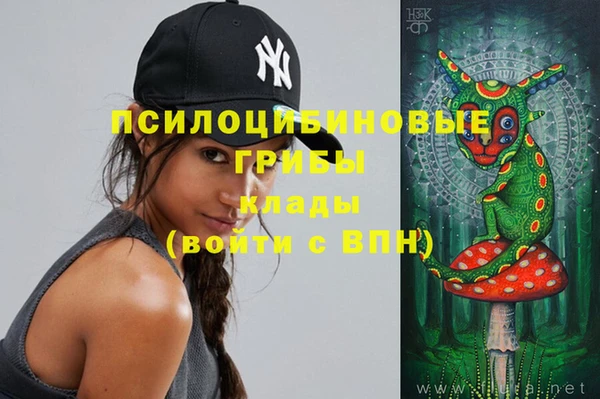 мдпв Балахна