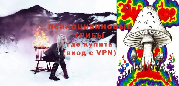 PSILOCYBIN Беломорск