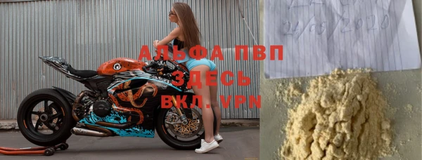 хмурый Белокуриха