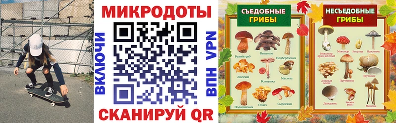 hydra как зайти  закладки  Будённовск  Псилоцибиновые грибы Psilocybe 